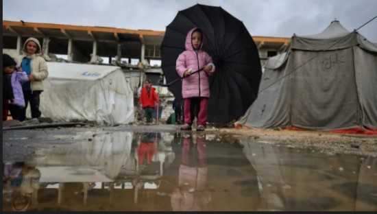 بيان صادر عن شبكة...