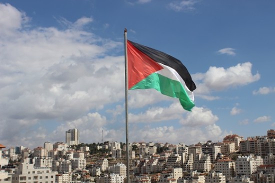 الإحصاء: 15.5 مليون...