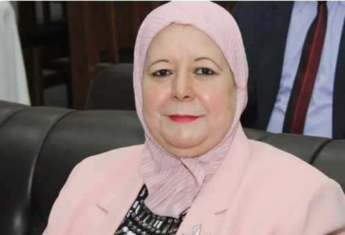 سهام الهواري.. رحلة باحثة مصرية إلى قائمة العلماء الأكثر تأثيرا في العالم
