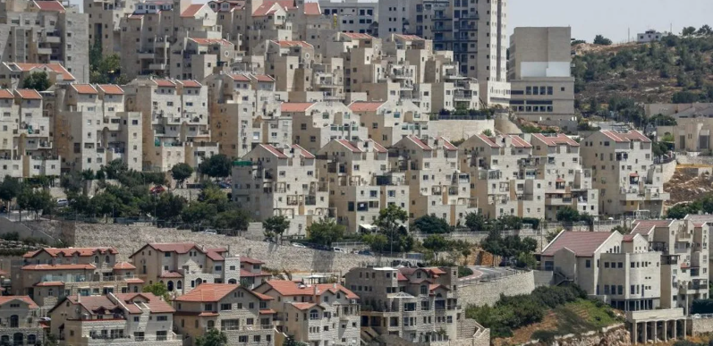  80 منظمة دولية تطالب بفرض حظر تجاري شامل على المستعمرات الإسرائيلية


