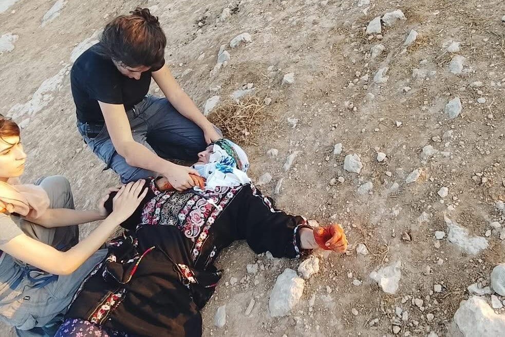 إصابة مسنة ومتضامنتين أجنبيتين في هجوم للمستعمرين جنوب الخليل
