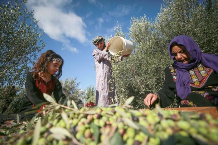 عن جمعية المرأة العاملة الفلسطينية للتنمية في اليوم العالمي للمرأة الريفية.. نحو ضمان الحماية الدولية للنساء الفلسطينيات

