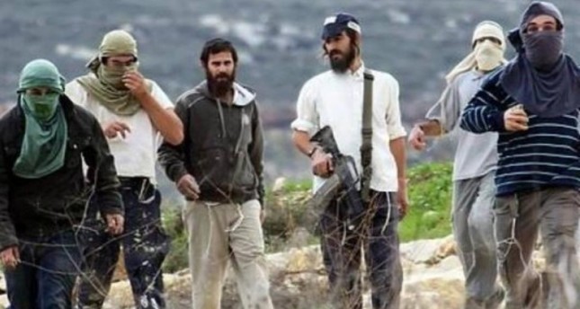مقررة أممية: يجب محاسبة "المستوطنين العنيفين" في أراضي فلسطين المحتلة
