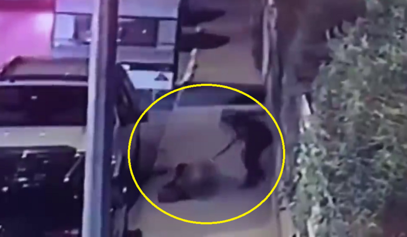 وسط الشارع في إسطنبول.. قتل امرأة بسيف لشعوره بالملل

