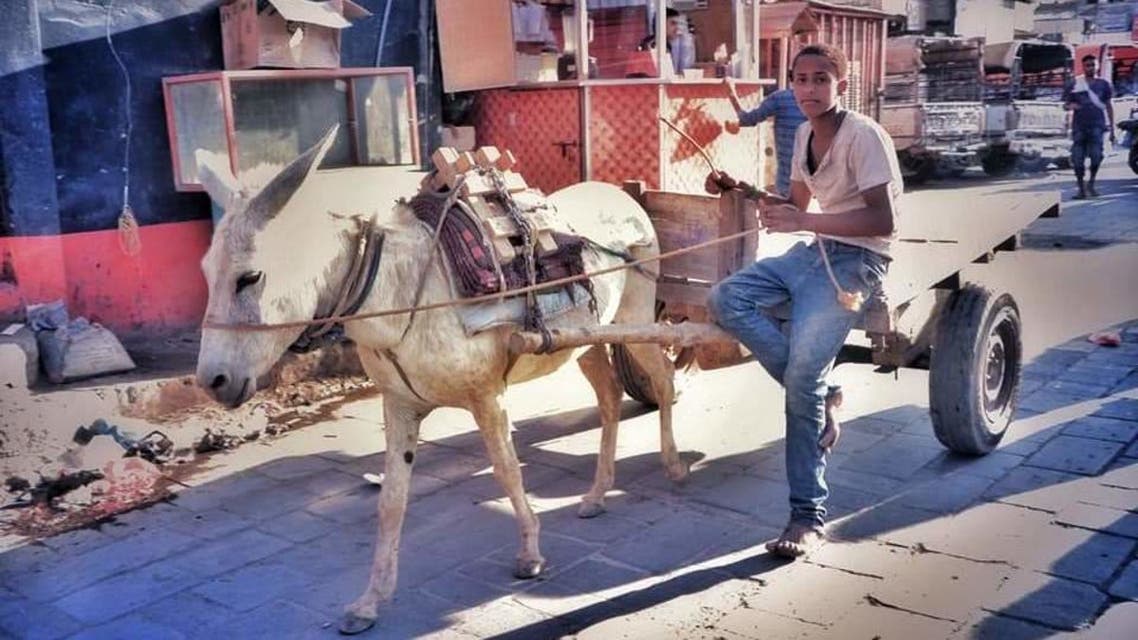 بضغطة زر تتحدى الحرب.. مصورة يمنية ترصد مآسي وطنها و"إشراقته"

