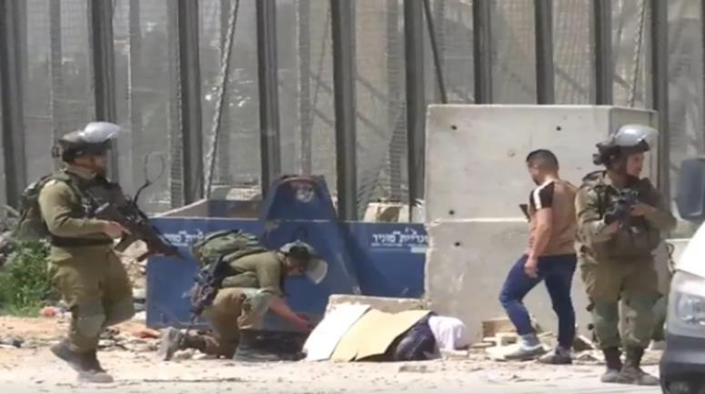 بيان إدانة واستنكار صادر عن وزارة شؤون المرأة لاعدم الأم غادة سباتين

