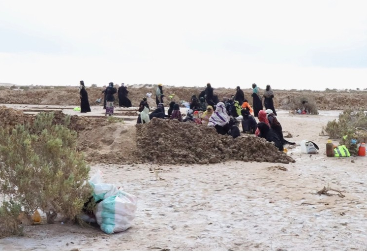 في حضرموت.. 500 امرأة يتقاسمن العمل في إنتاج الملح البحري


