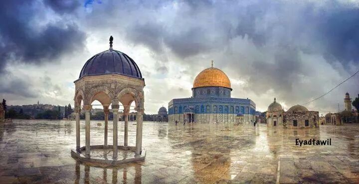 استمرار تأثير المنخفض الجوي

