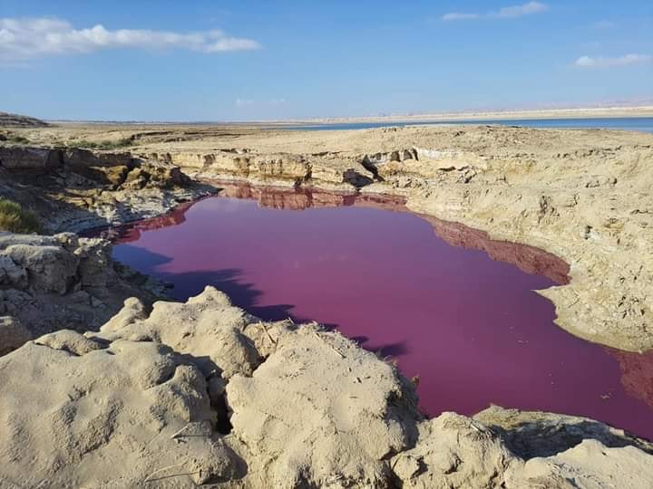 خبير يفسر ظاهرة المياه الحمراء في منطقة البحر الميت
