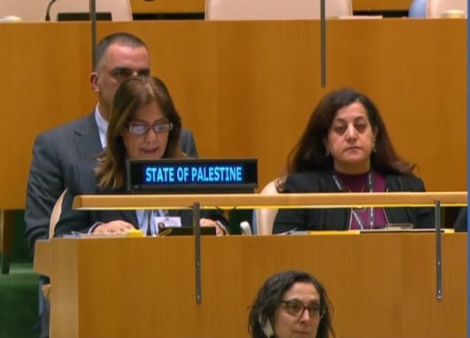 خلال جلسة للأمم المتحدة: وزيرة شؤون المرأة تؤكد حق النساء الفلسطينيات في الحماية
