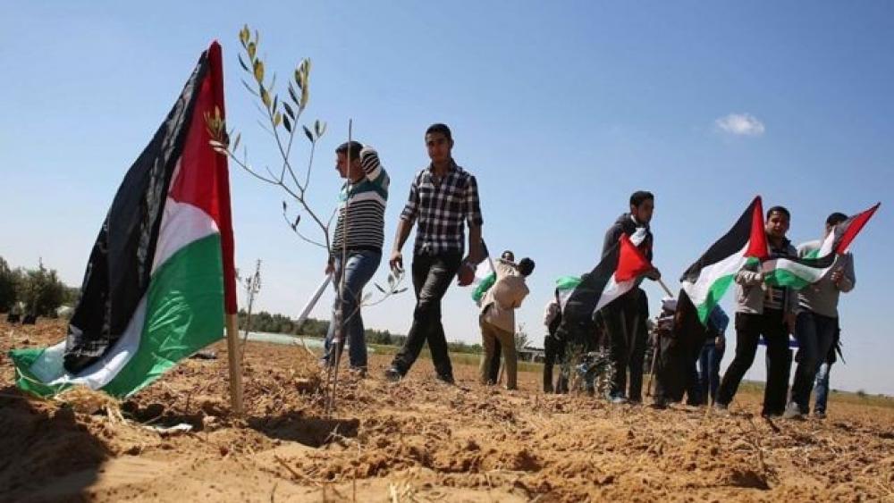 الإحصاء في يوم الأرض.. الاحتلال يستولي على 50 ألف دونم في الضفة عام 2023
