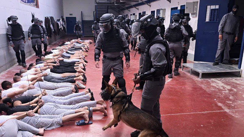 قلق أممي إزاء معاملة إسرائيل اللاإنسانية للمعتقلين الفلسطينيين
