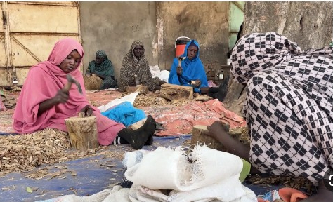 رشا وألف امرأة.. الاحتطاب بحثا عن لقيمات في زمن الحرب السودانية
