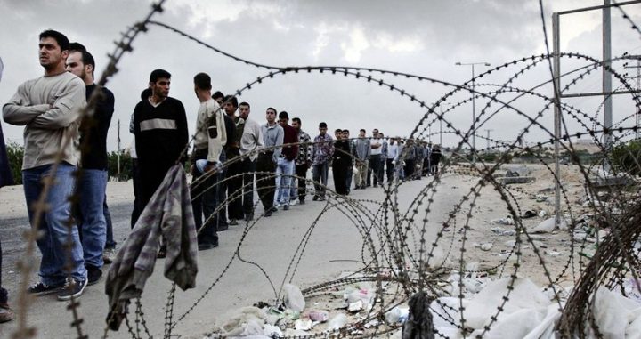  فلسطين بالمرتبة الثانية في معدلات البطالة بالوطن العربي.. بعد الصومال !
