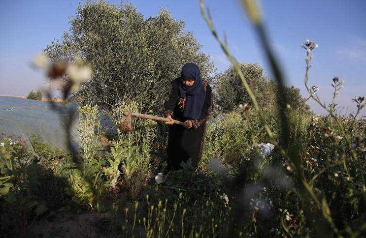 أجواء لطيفة اليوم الثلاثاء
