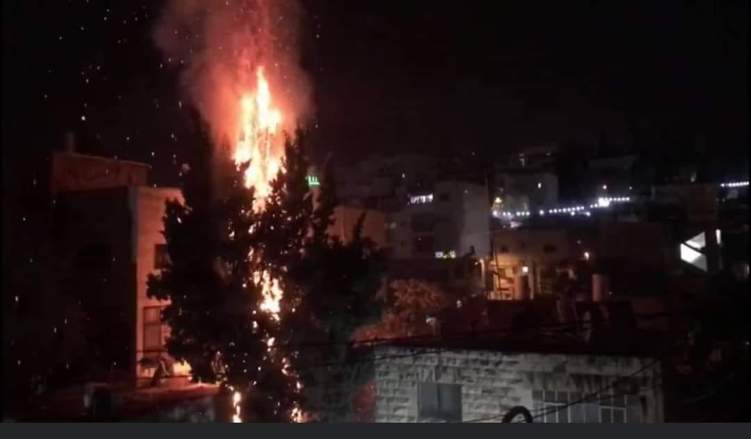 وفاة شابة متأثرة بجروحها إثر شجار بالقدس
