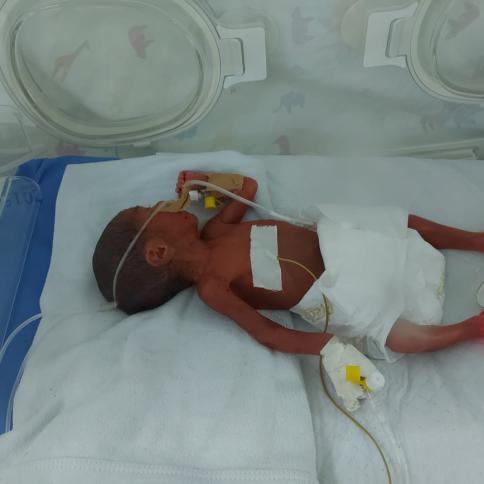تحرّكت إصبعها فأُلغي دفنها .."عائشة" رضيعة عادت عن باب القبر  بالخليل
