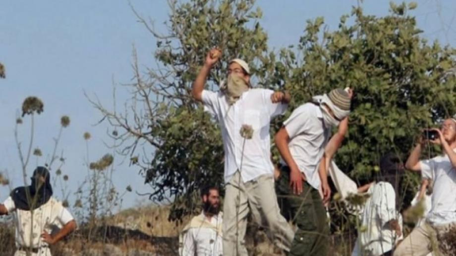مستوطنون يحاولون اختطاف طفل ويضرمون النار بالأراضي الزراعية في جالود
