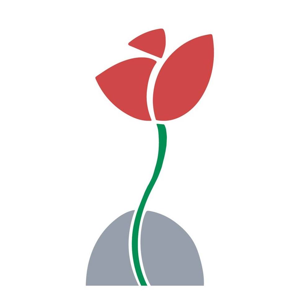 مؤسسة تامر .. تطلق ألبوم "فهيم" الموجه الى الأطفال