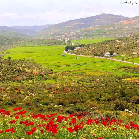 أجواء باردة في المناطق الجبلية معتدلة في بقية المناطق
