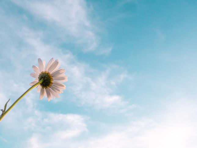 كتلة هوائية باردة تؤثر على البلاد الجمعة
