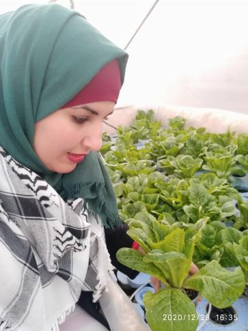 منى الصباح.. أول امرأة تُطلق مشروعاً لنظام الزراعة المائية بالضفة
