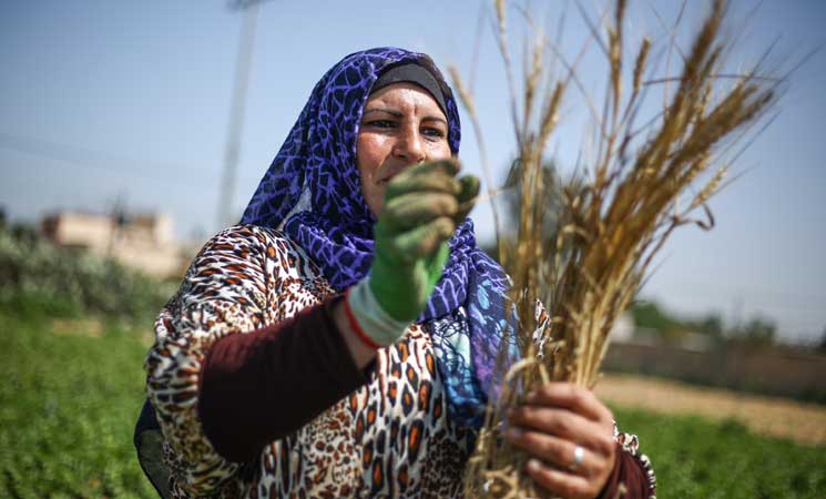 صوت| المركز الفلسطيني للتنمية.. يقدم مشاريع لتمكين النساء في الريف
