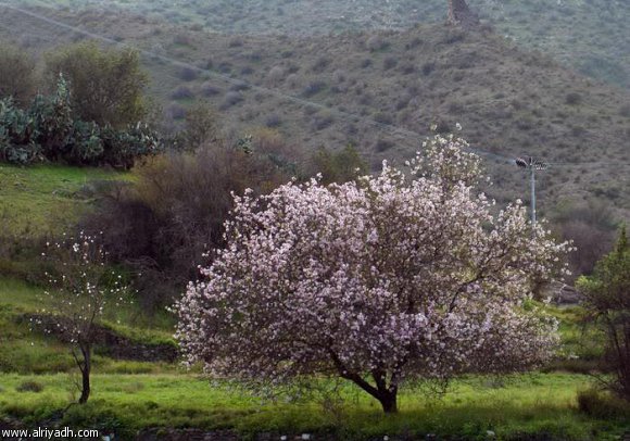 الأجواء دافئة نهاراً وبارداً ليلاً
