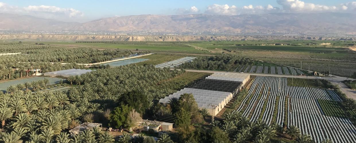درجات الحرارة في فلسطين ترتفع إلى العشرينيات
