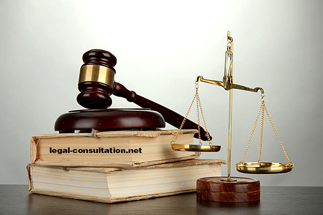 حماية الحقوق والحريات يكفلها الدستور
