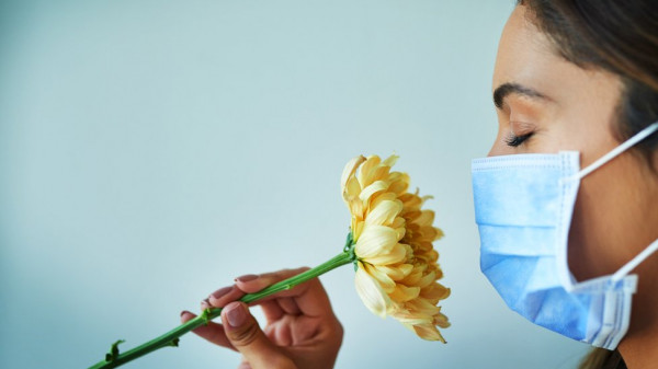 متى تعود إليك حاسة الشم بعد الإصابة بفيروس (كورونا)؟
