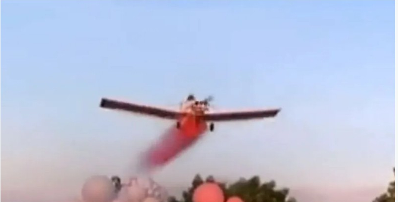 بالفيديو.. حفل التعرف على جنس المولود يتحول إلى كارثة
