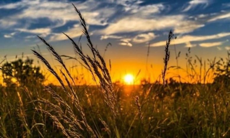 حالة الطقس: استمرار الأجواء الخماسينية والمغبرة
