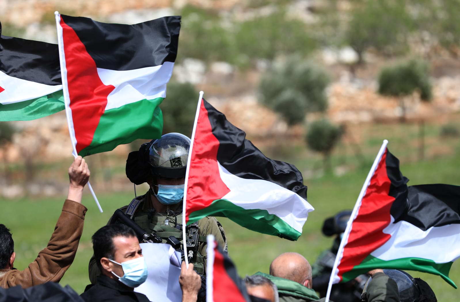 50 عاما على ذكرى يوم الأرض

