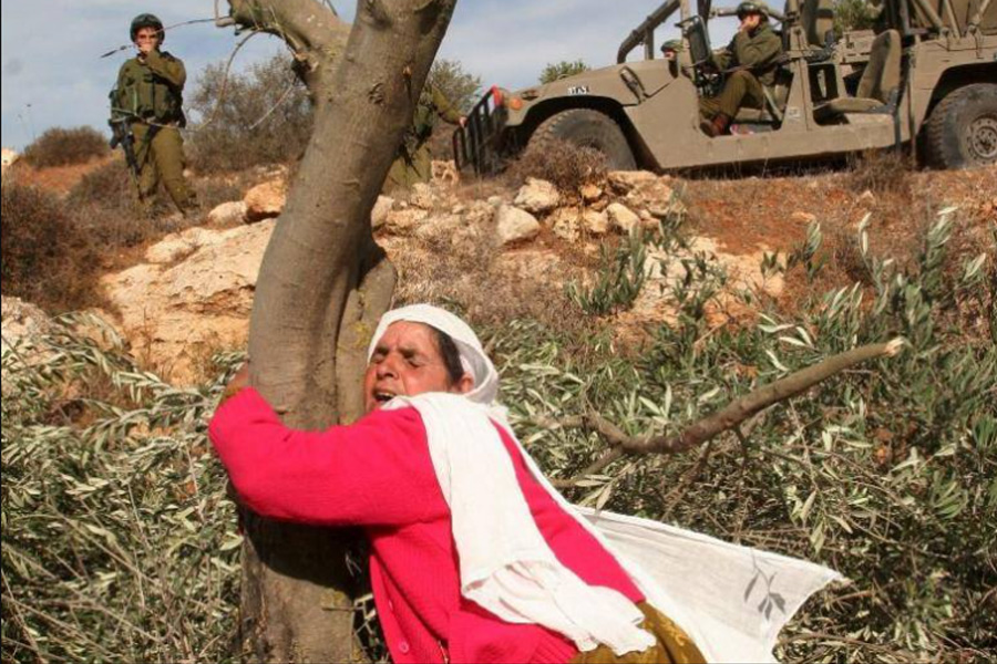 في يوم الأرض، تتجذر المرأة الفلسطينية كأرضها، صامدة، مناضلة، وحارسة للهوية والوجود  

