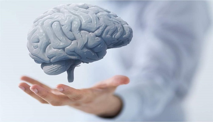 علماء يكشفون.. عقار لعلاج الربو قد يساعد على استعادة الذاكرة


