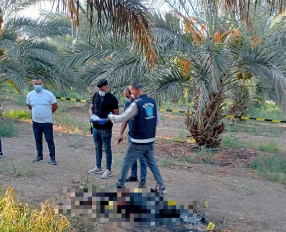 العثور على جثة شابة متفحمة في احدى مزارع التمور في بلدة الجفتلك شمال مدينة اريحا
