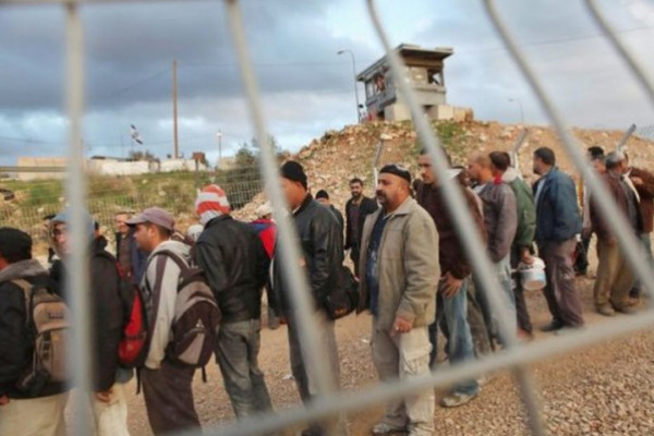 في يومهم العالمي.. عمال فلسطين يعيشون بطالة قسرية وحواجز تحد من وصولهم إلى لقمة العيش
