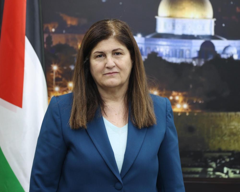 شاهين: الاعتراف بدولة فلسطين خطوة مهمة وعملية

