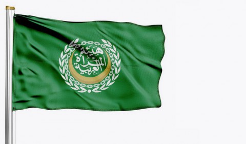 هيئة المرأة العربية تثمن مبادرة صندوق الحماية الاجتماعية في سلطنة عُمان
