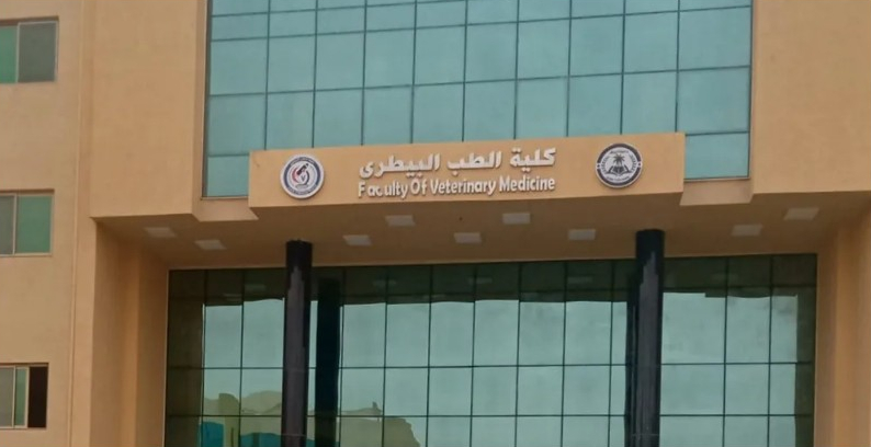 انتحار طالبة في مصر بعد ابتزازها بـ"صور خاصة"
