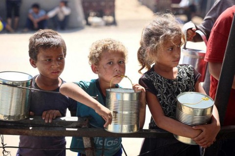 مسؤولة أوروبية: الطعام يتعفن على أبواب غزة جراء المنع الإسرائيلي
