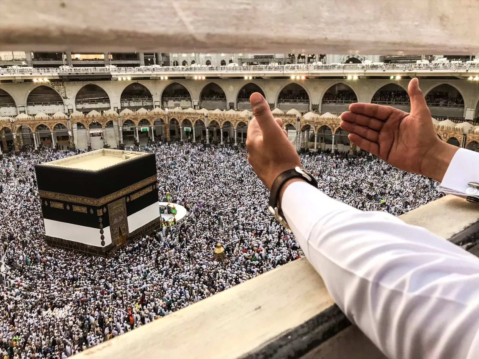 أبو الرب: استكمال وصول الحجاج إلى المدينة المنورة وجميعهم بخير
