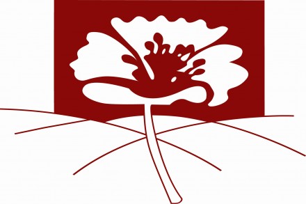 طاقم شؤون المرأة يصدر العدد الجديد 398 من صحيفة صوت النساء