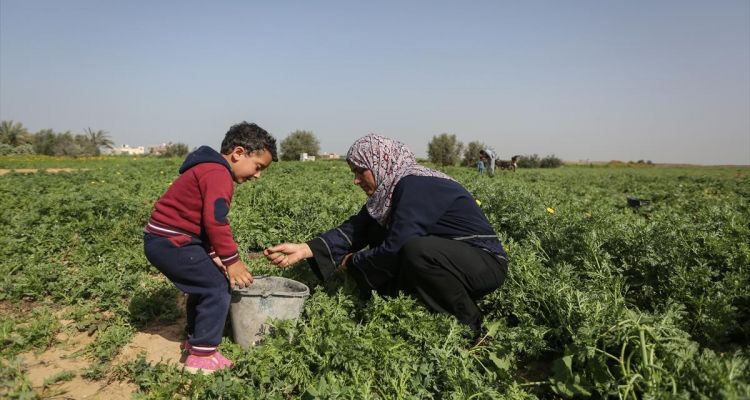 صوت| "مركز الميزان"  يدعو المجتمع الدولي بتحمل مسؤولياته الأخلاقية والقانونية تجاه النساء الفلسطينات
