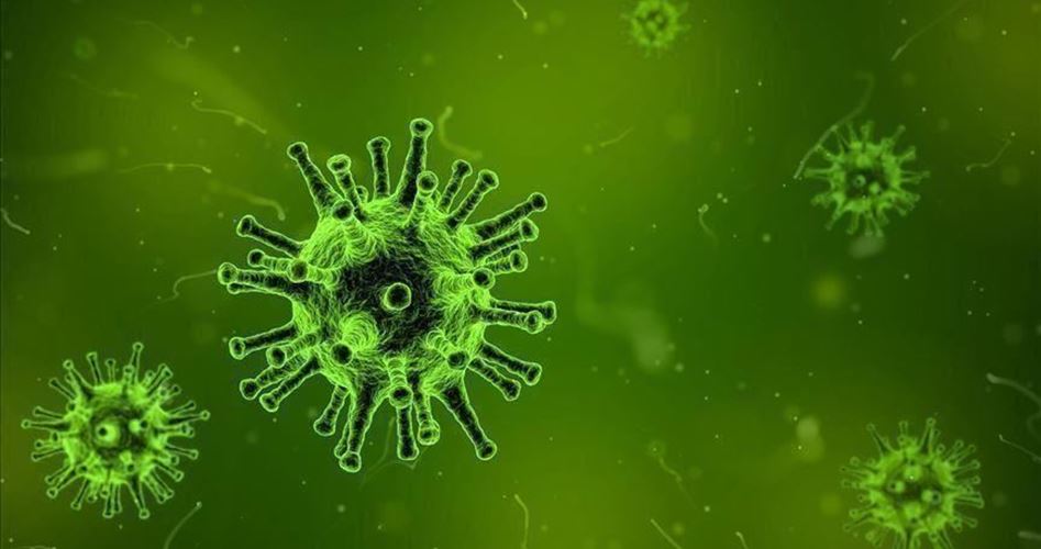 هل ينتقل فيروس كورونا عن طريق العلاقات الجنسية؟
