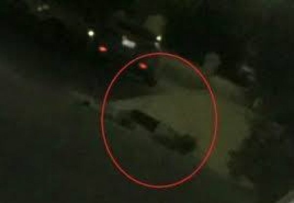 تفاصيل جريمة قتل احلام.. قتلها أبوها وشرب الشاي على جثتها
