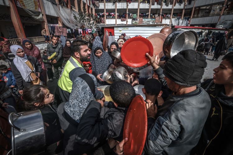 في اليوم 146 من العدوان: أكثر من 20 شهيدا جراء استهداف الاحتلال مواطنين ينتظرون وصول مساعدات غرب غزة
