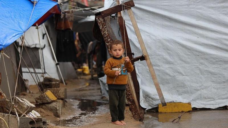 "التعاون" و"إغاثة أطفال فلسطين" تطلقان مبادرة "نور" لرعاية الأطفال الأيتام في غزة
