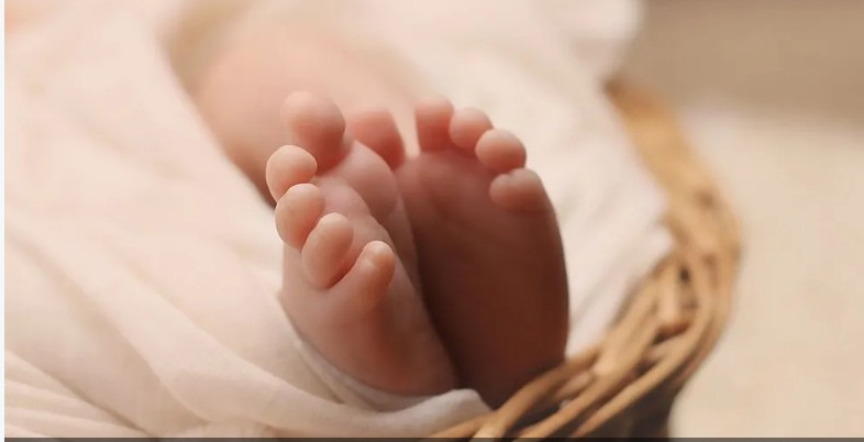 ذكر أم أنثى؟.. دراسة تنسف الاعتقاد الشائع حول جنس المولود
